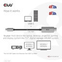 USB-C® to HDMI™ 4K120Hz 8K60Hz HDR10 with DSC1.2 Active Cable M/M 3m / 9.84ft