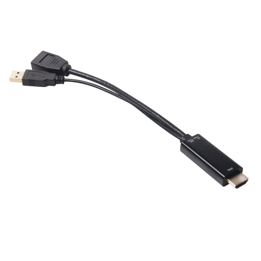 HDMI™ to  Displayport™ Adapter