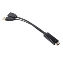 HDMI™ to  Displayport™ Adapter