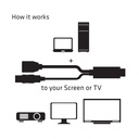 HDMI™ to  Displayport™ Adapter
