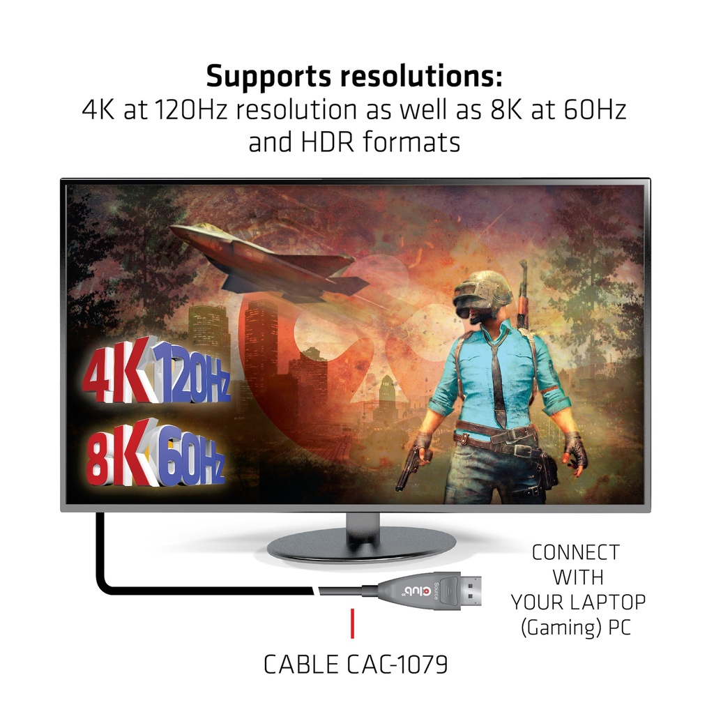 DisplayPort™ 1.4 Active Optical Cable Unidirectional 4K120Hz 8K60Hz M/M 20m/65.62ft